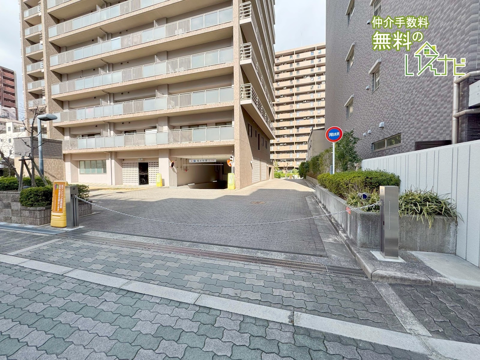 SAINTPAULIA SHITENNOJI YUHIGAOKA Photo