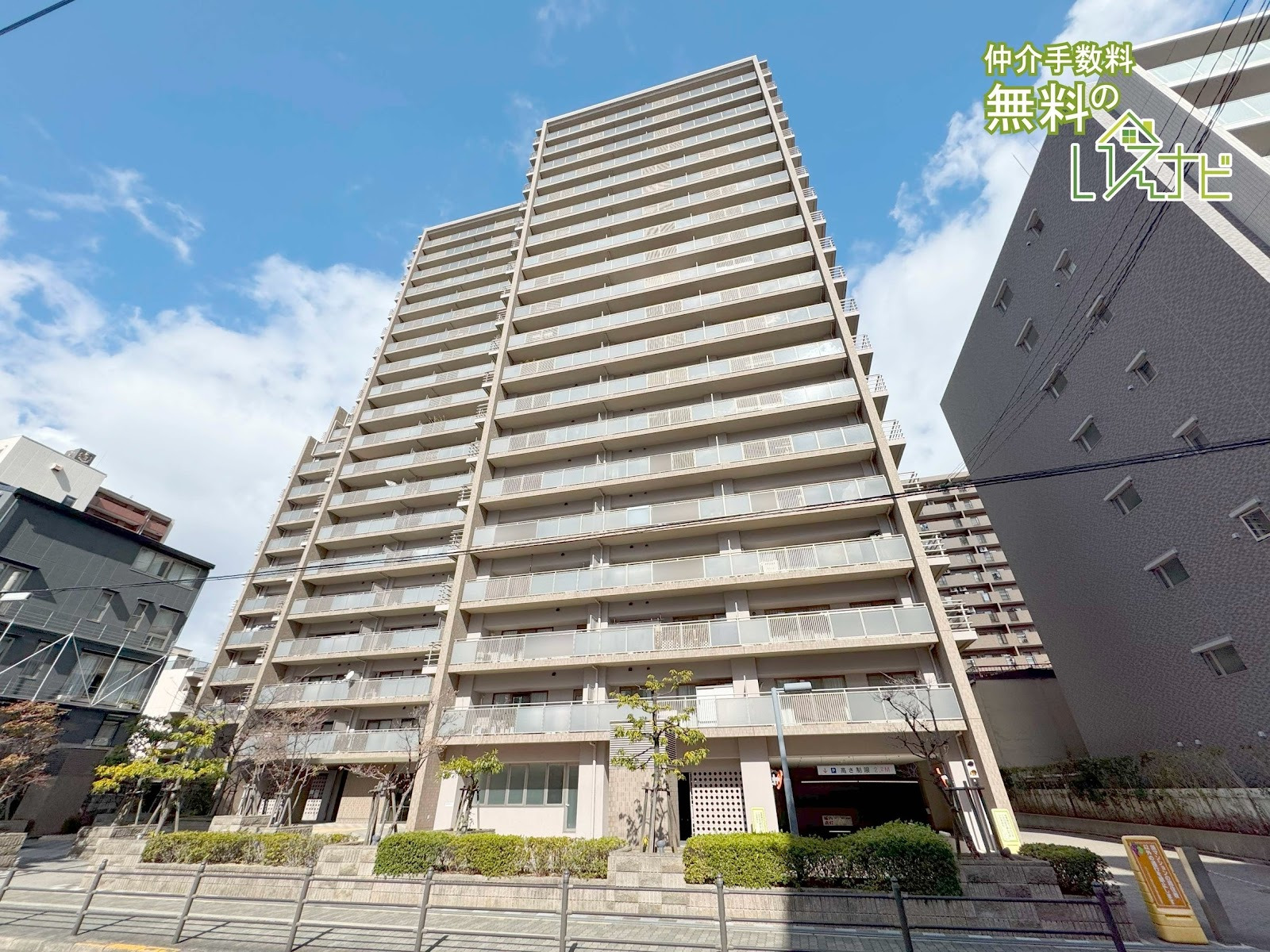 SAINTPAULIA SHITENNOJI YUHIGAOKA Photo