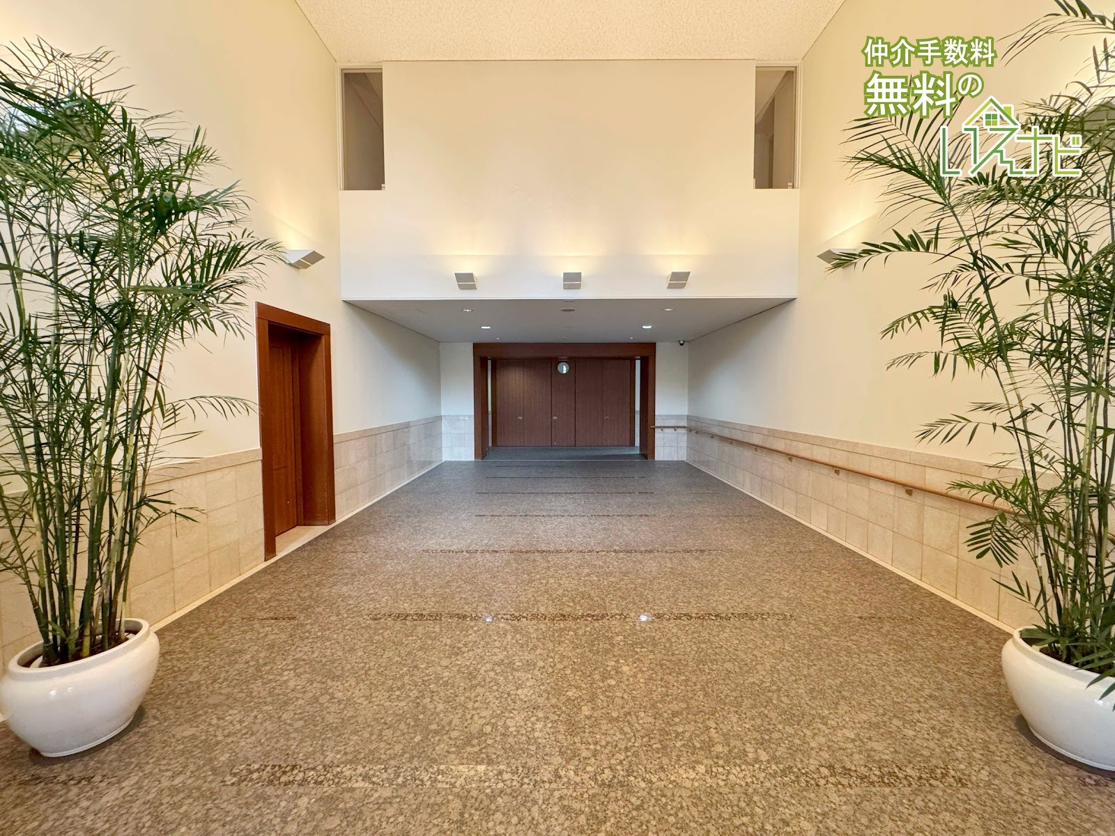 SAINTPAULIA SHITENNOJI YUHIGAOKA Photo