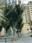 セントラルレジデンス城東シティタワー 写真