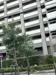 セントラルレジデンス城東シティタワー 写真
