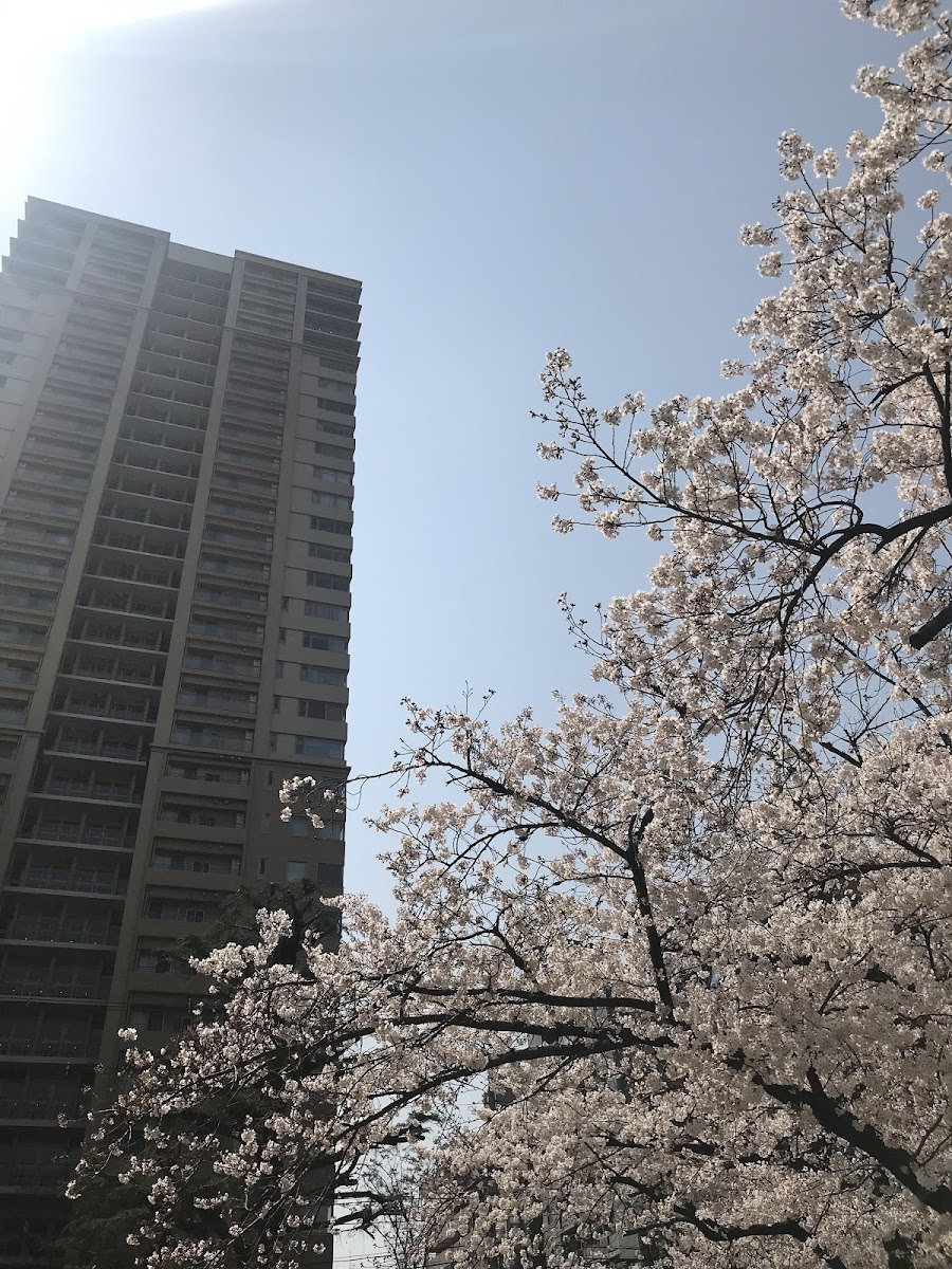 TOWER THE UEMACHIDAI