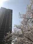 タワーザ上町台