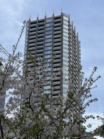 パークタワー北浜 写真