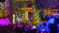 プラネ・ルネ スプリングスタワー大阪 写真