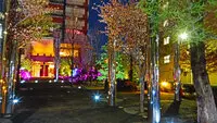 プラネ・ルネ スプリングスタワー大阪 写真