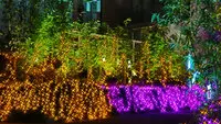 プラネ・ルネ スプリングスタワー大阪 写真