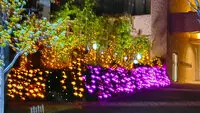 プラネ・ルネ スプリングスタワー大阪 写真