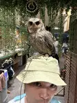 ブランズタワー・ウェリス心斎橋NORTH 写真