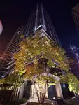 ブランズタワー・ウェリス心斎橋NORTH 写真