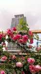ヴィークタワーOSAKA 写真