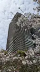 ローレルタワー難波