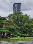 ザ・ファインタワー大手前 写真