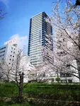シエリアタワー大阪天満橋 写真
