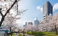 シエリアタワー大阪天満橋 写真
