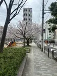 ウエリスタワー京町堀 写真