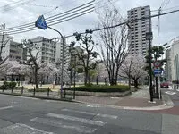 ウエリスタワー京町堀 写真