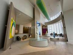 Brillia Tower 堂島 写真