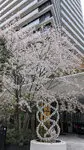 Brillia Tower 堂島 写真