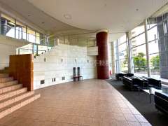 リーザス大阪 写真