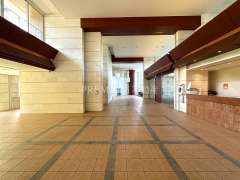 リーザス大阪 写真