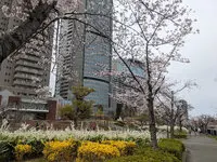 OAPレジデンスタワー西館 写真