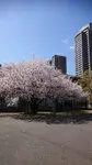 OAPレジデンスタワー西館 写真