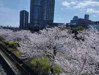 OAPレジデンスタワー西館 写真