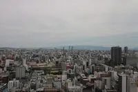 キングスクエア ザ・タワーランドレックス C棟 写真