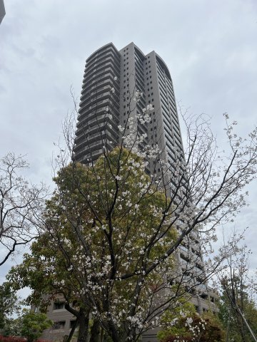 キングマンション堂島川