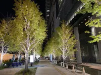 グランフロント大阪オーナーズタワー 写真