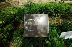 コムズシティ野江C棟 写真