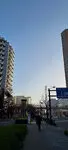 シーサイドレジデンス コスモスクエア駅前 写真