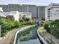 シーサイドレジデンス コスモスクエア駅前 写真