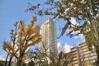 ジオタワー南堀江 写真