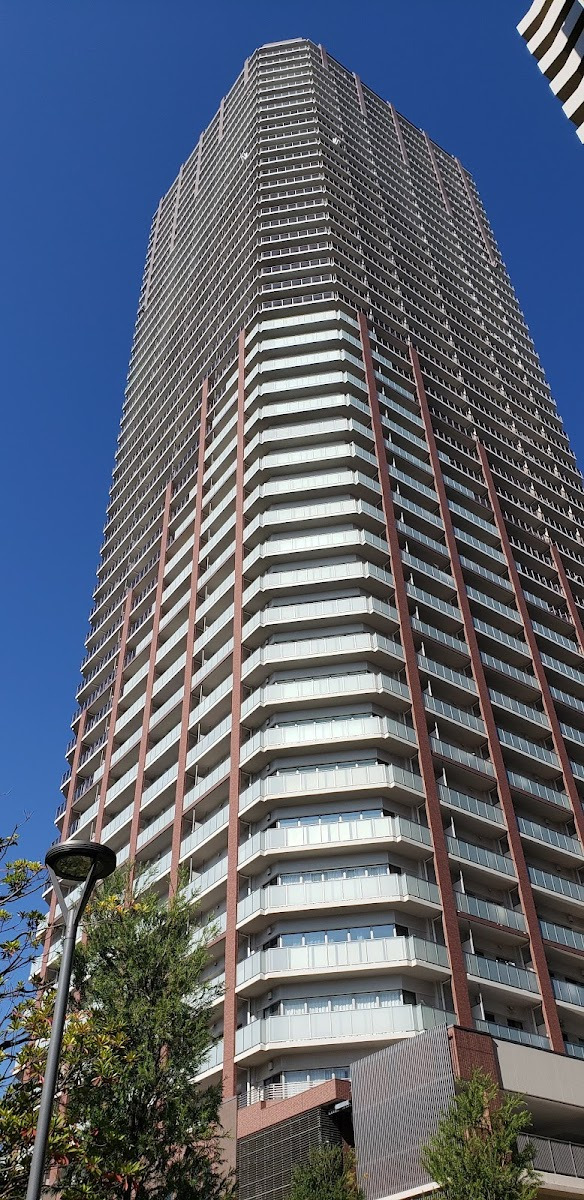 阿波座ライズタワーズ フラッグ46