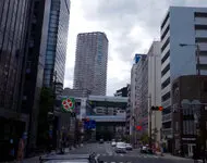 阿波座ライズタワーズ フラッグ46 写真