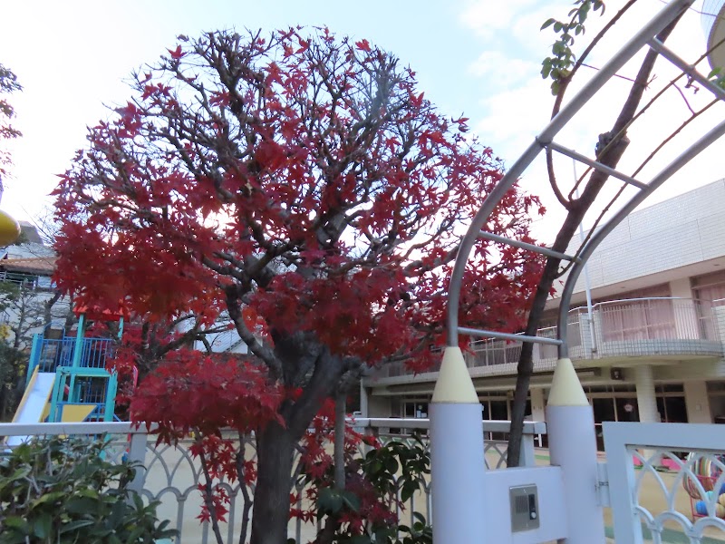 大阪芸術大学附属 松ケ鼻幼稚園