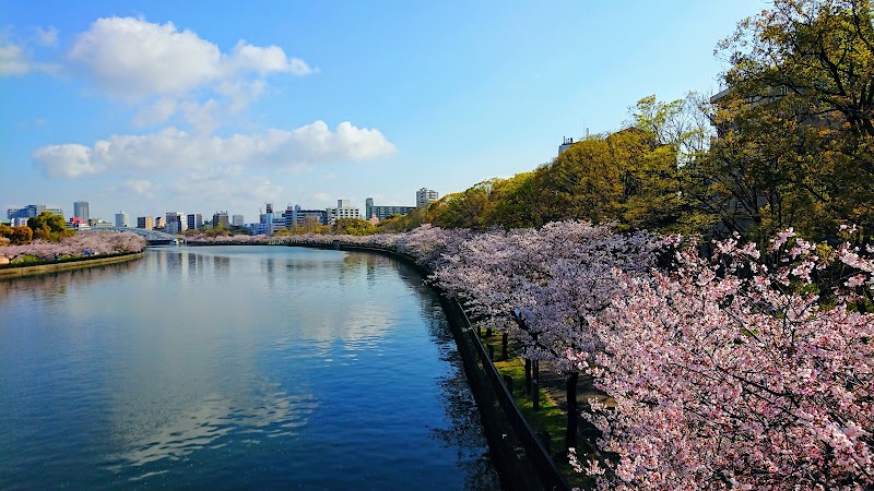 毛馬桜之宮公園