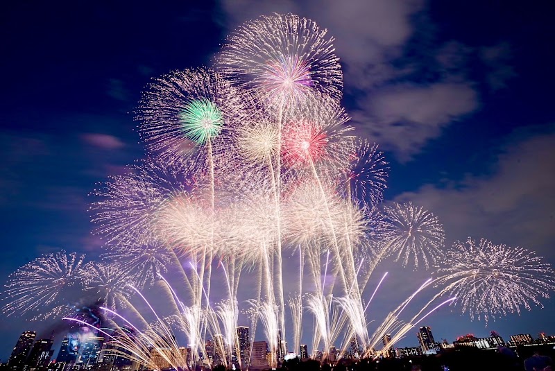 淀川河川公園 十三野草地区