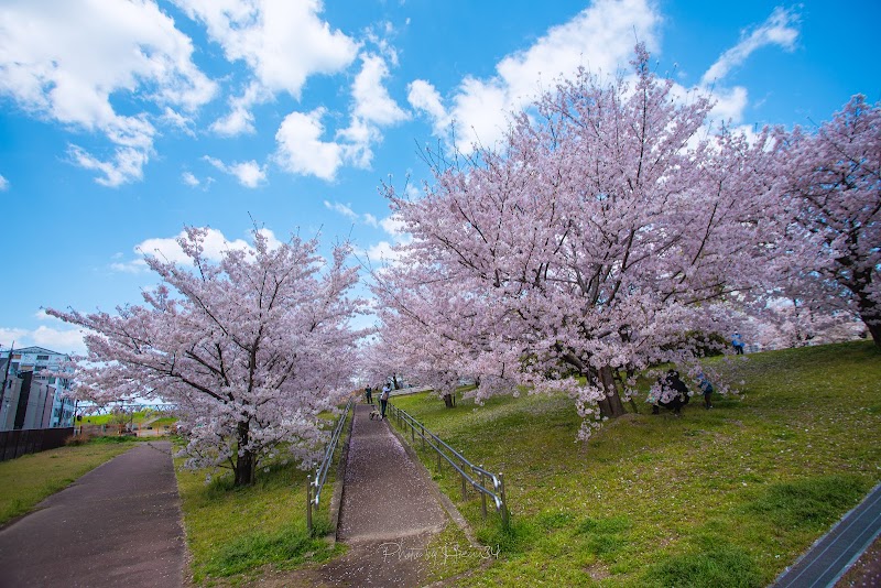 淀川河川公園 長柄地区